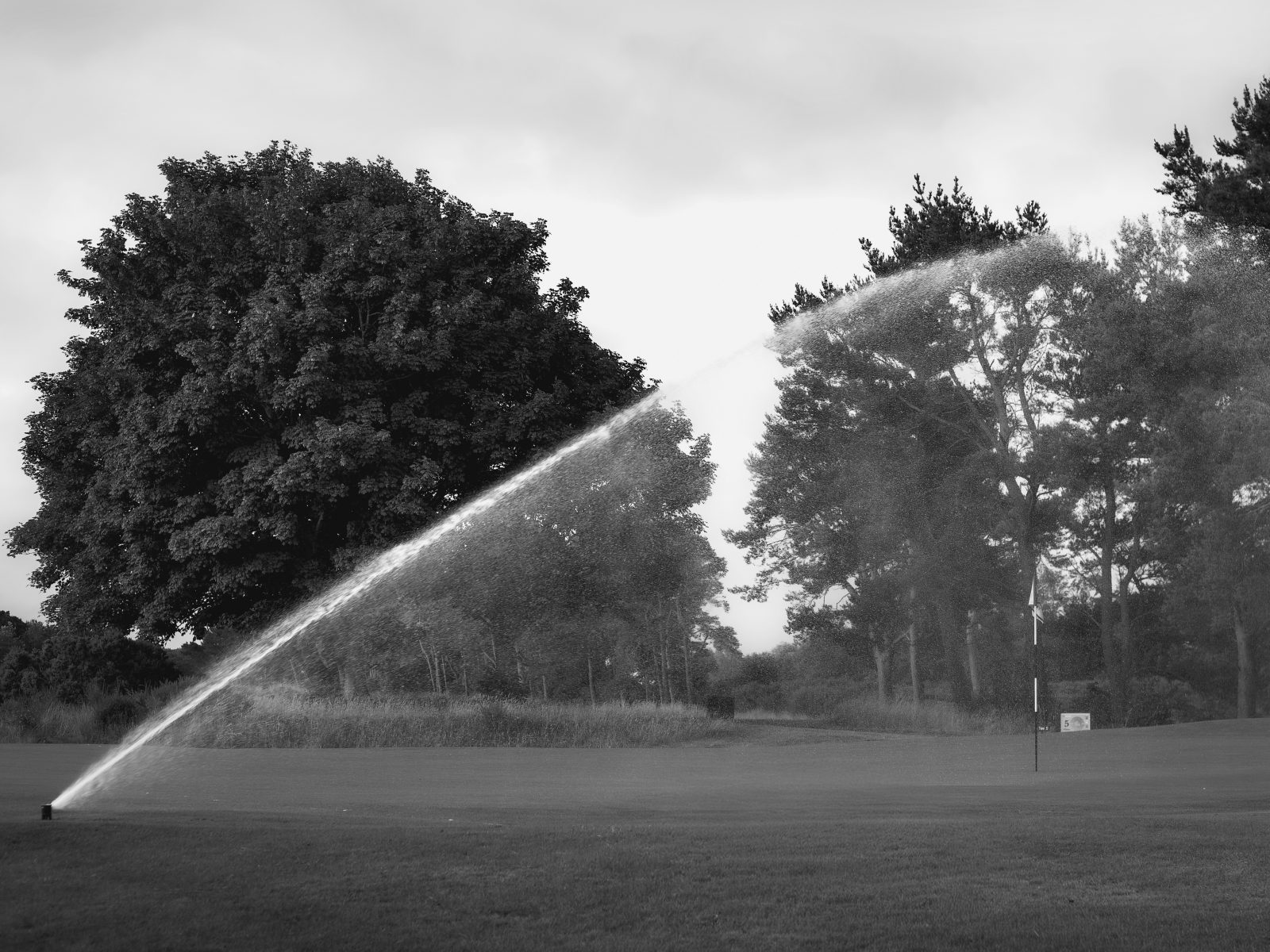 Scotscraig sprinkler bw